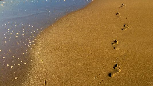 Valor de referencia de Catastro