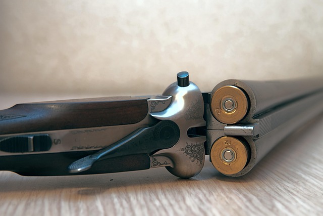 mariakray vintage gun 6756391 640